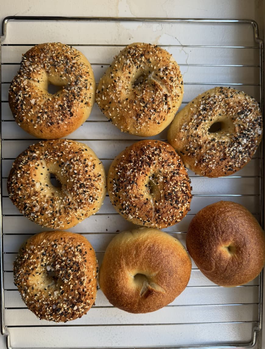 Fresh-baked everything and plain bagels cooling on a wire rack